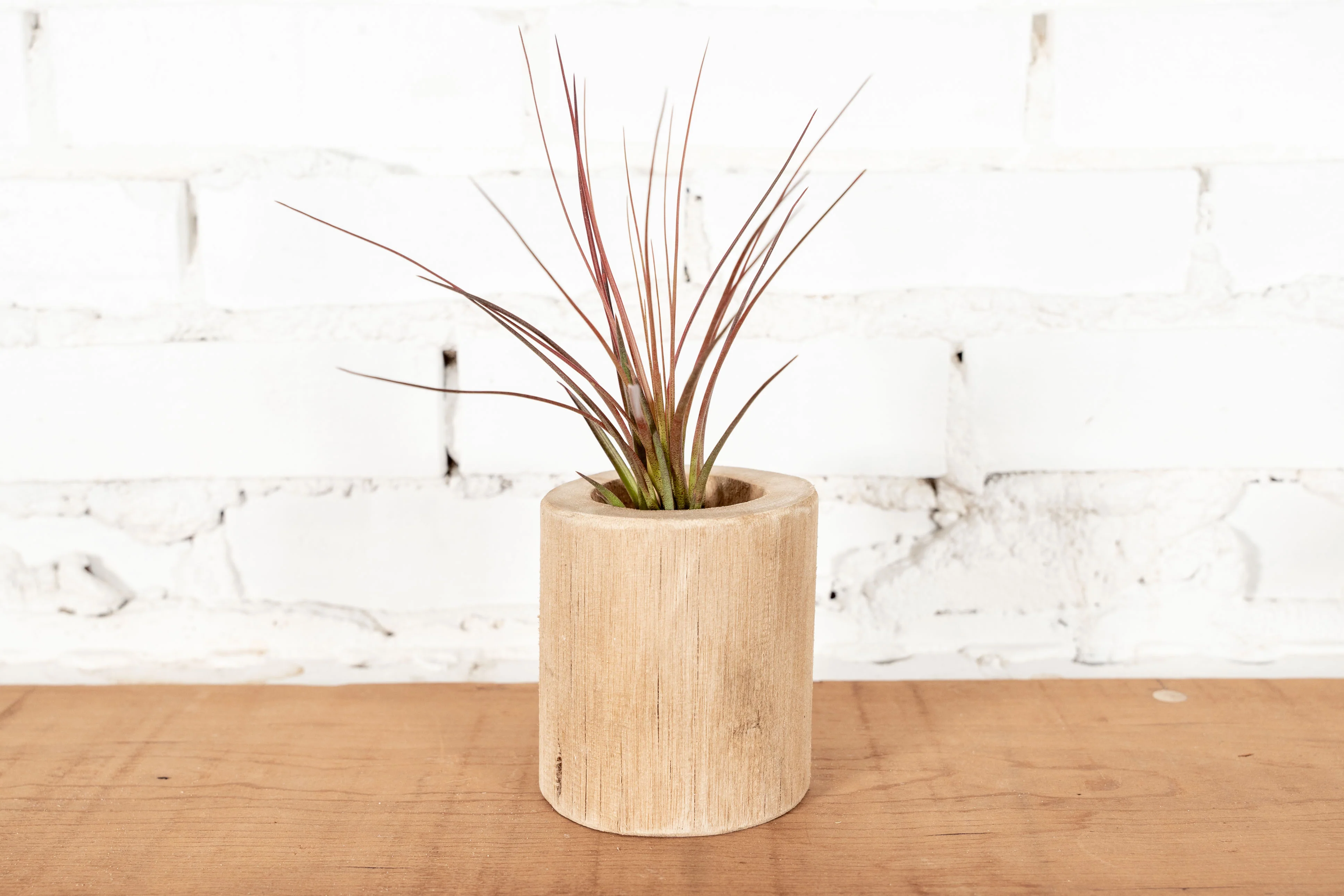 Driftwood Container - Image 2