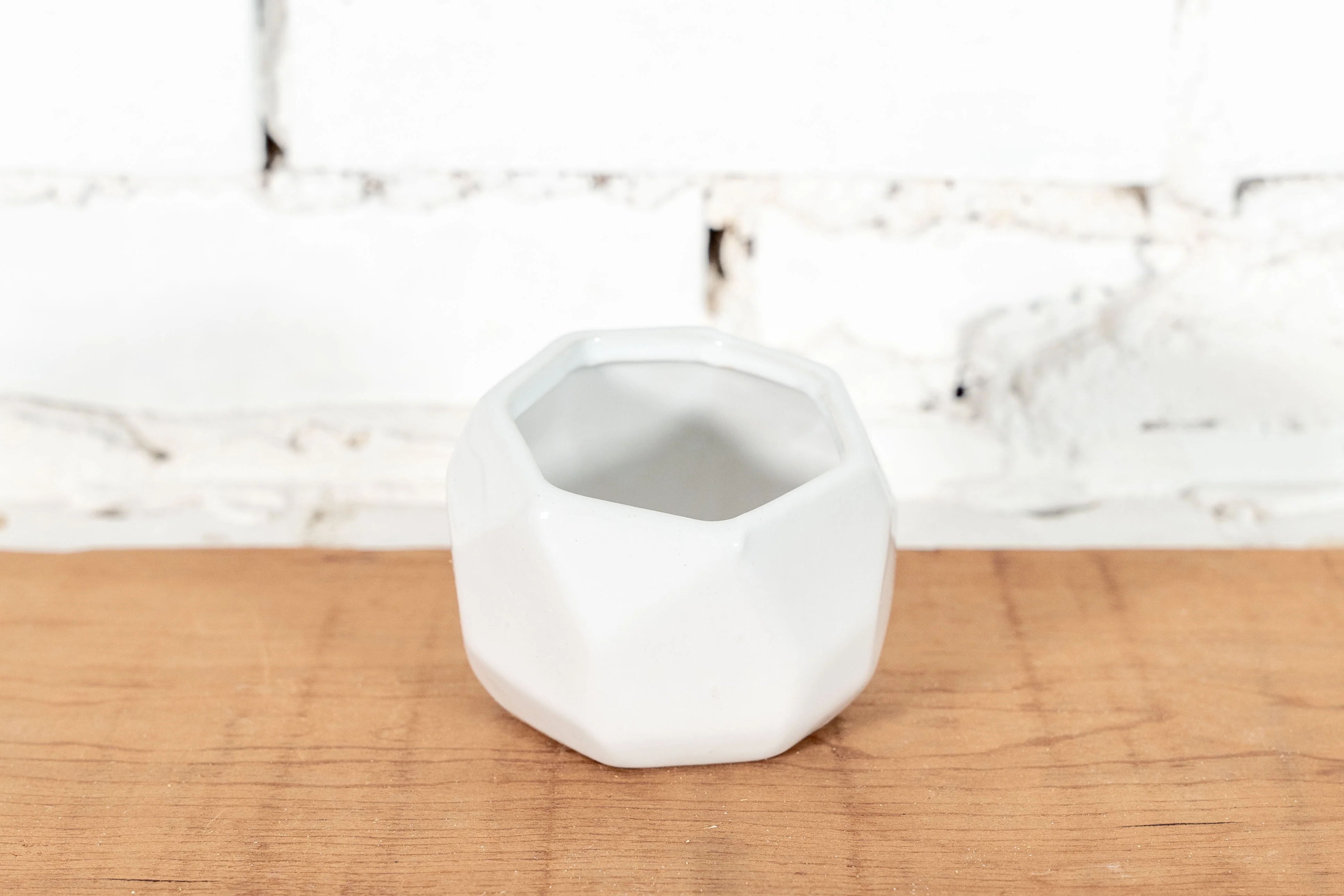 White Ceramic Geometric Pots with Assorted Tillandsia Air Plants | Combo Packs - Image 4