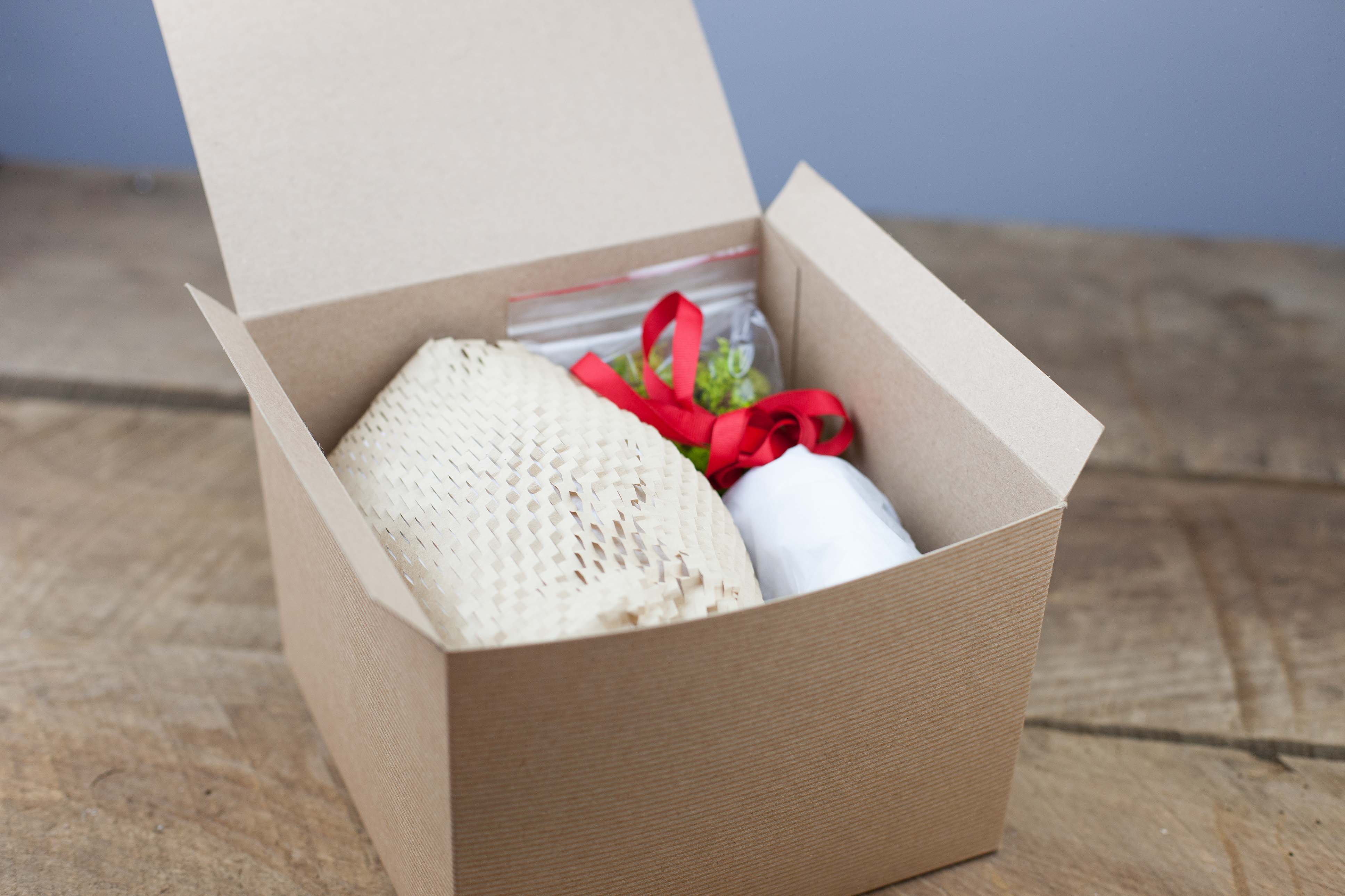 Gift Boxed: Mini Pebble Ornament with Tillandsia Ionantha Air Plant - Image 4