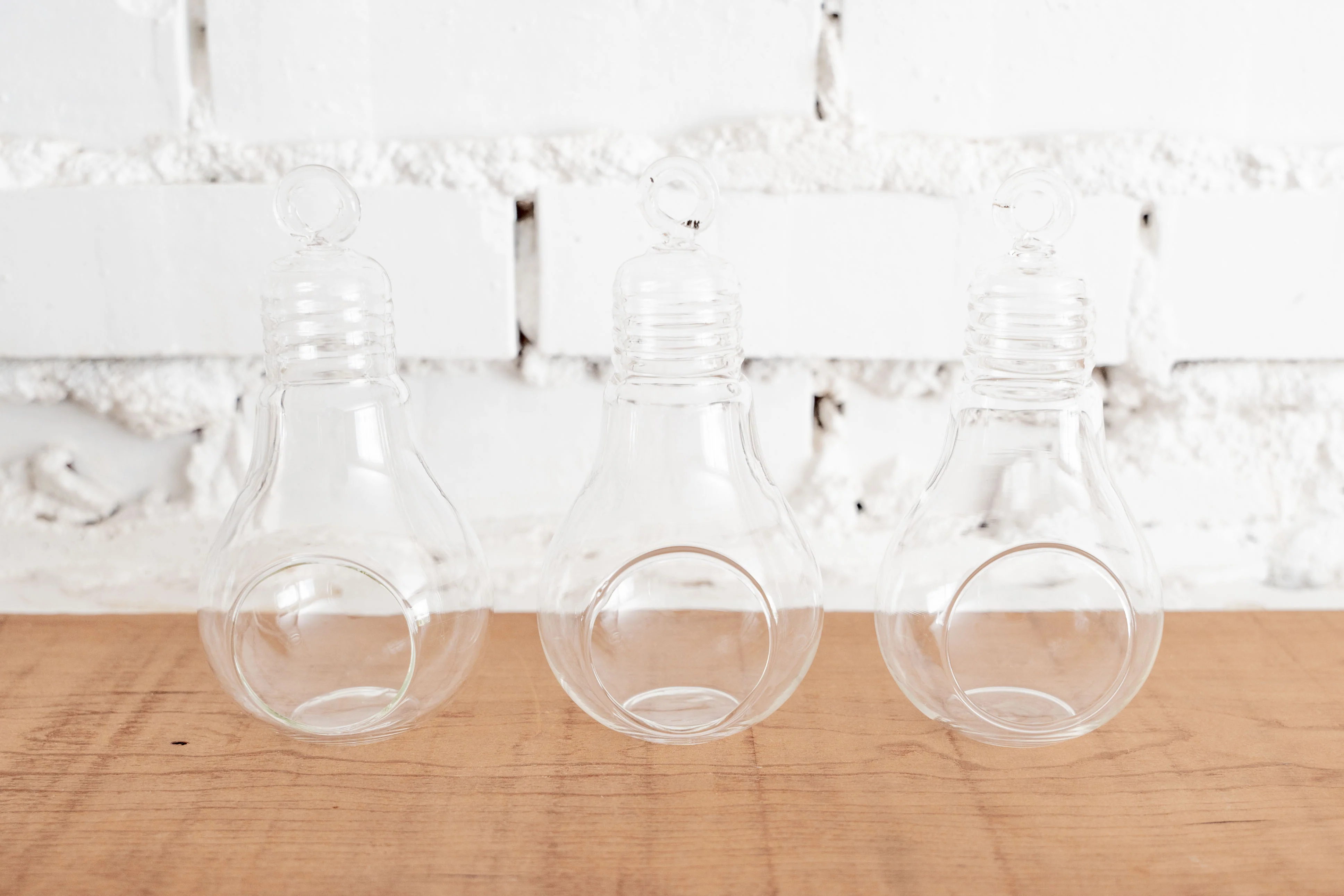 Light Bulb Glass Terrarium - Image 3