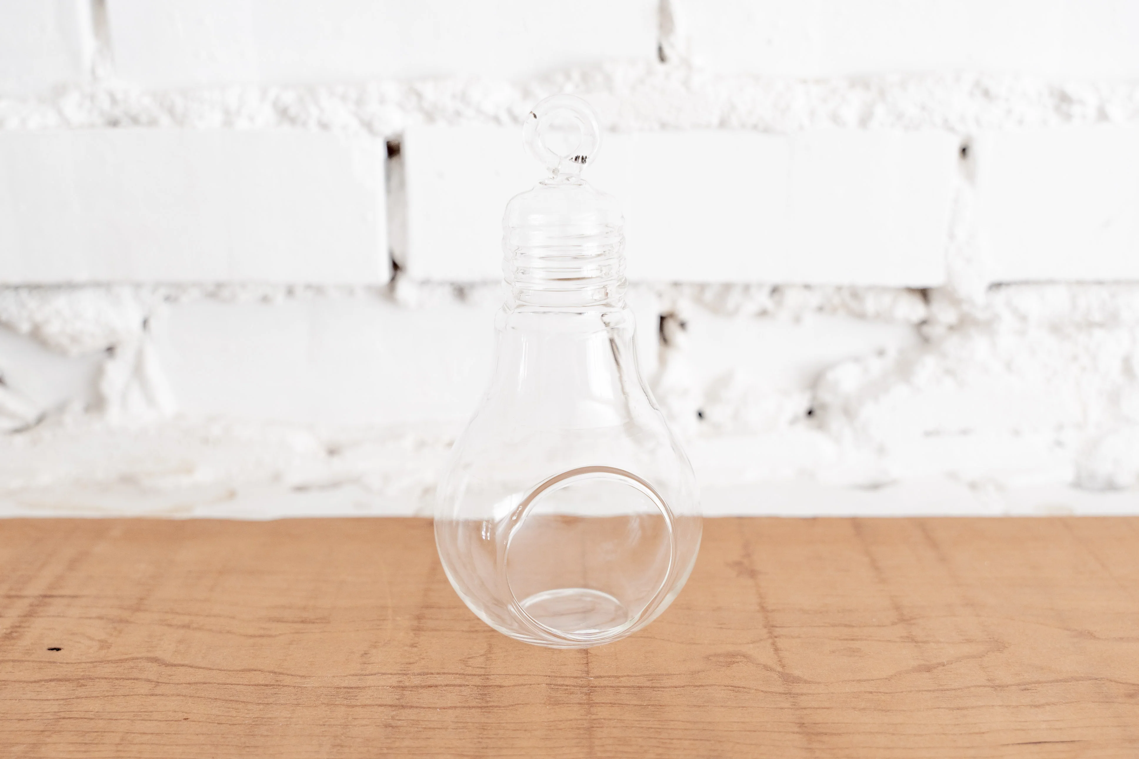 Light Bulb Glass Terrarium - Image 4