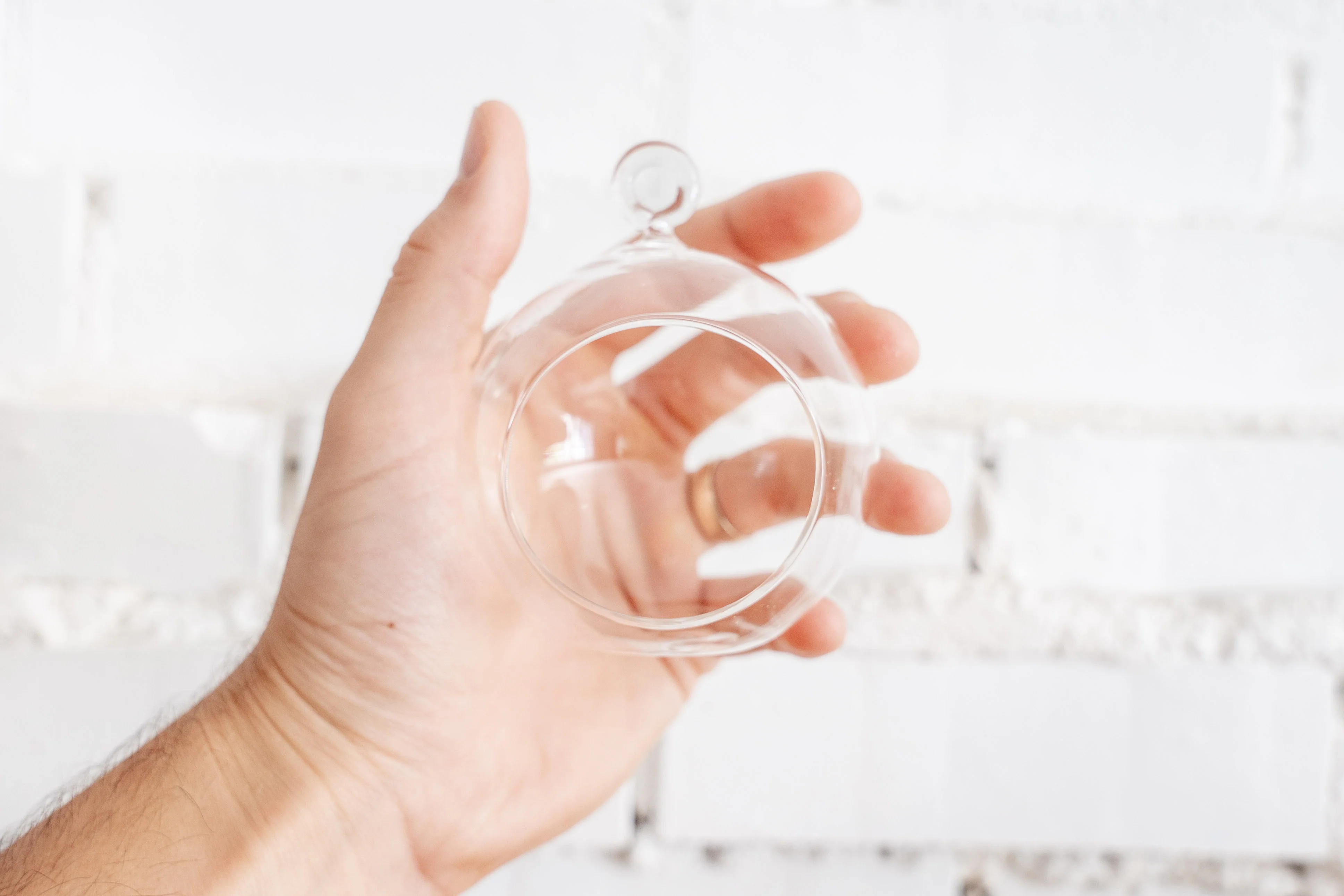 Mini Flat Bottom Glass Terrarium