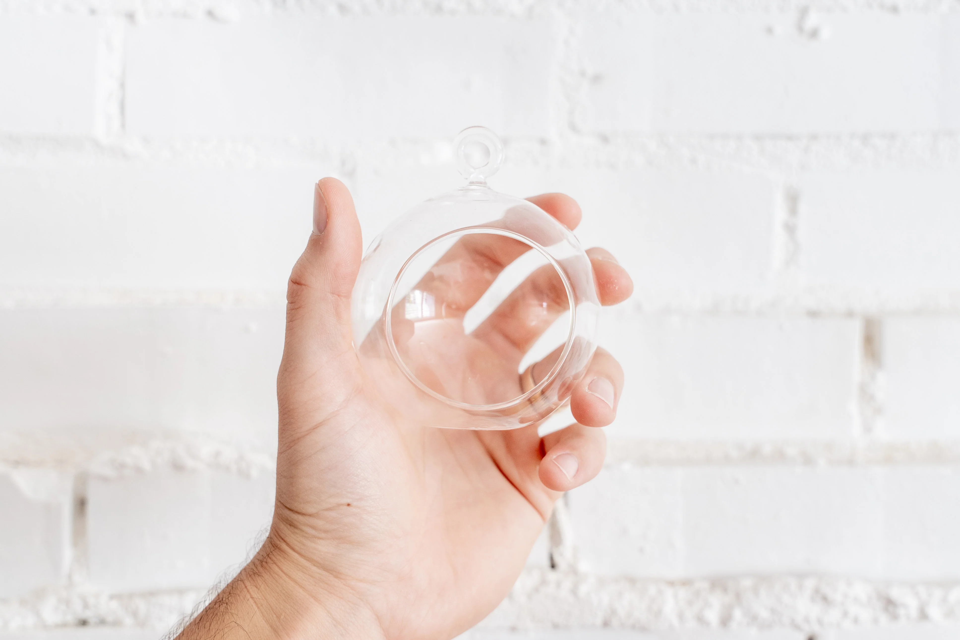 Mini Flat Bottom Glass Terrarium - Image 3