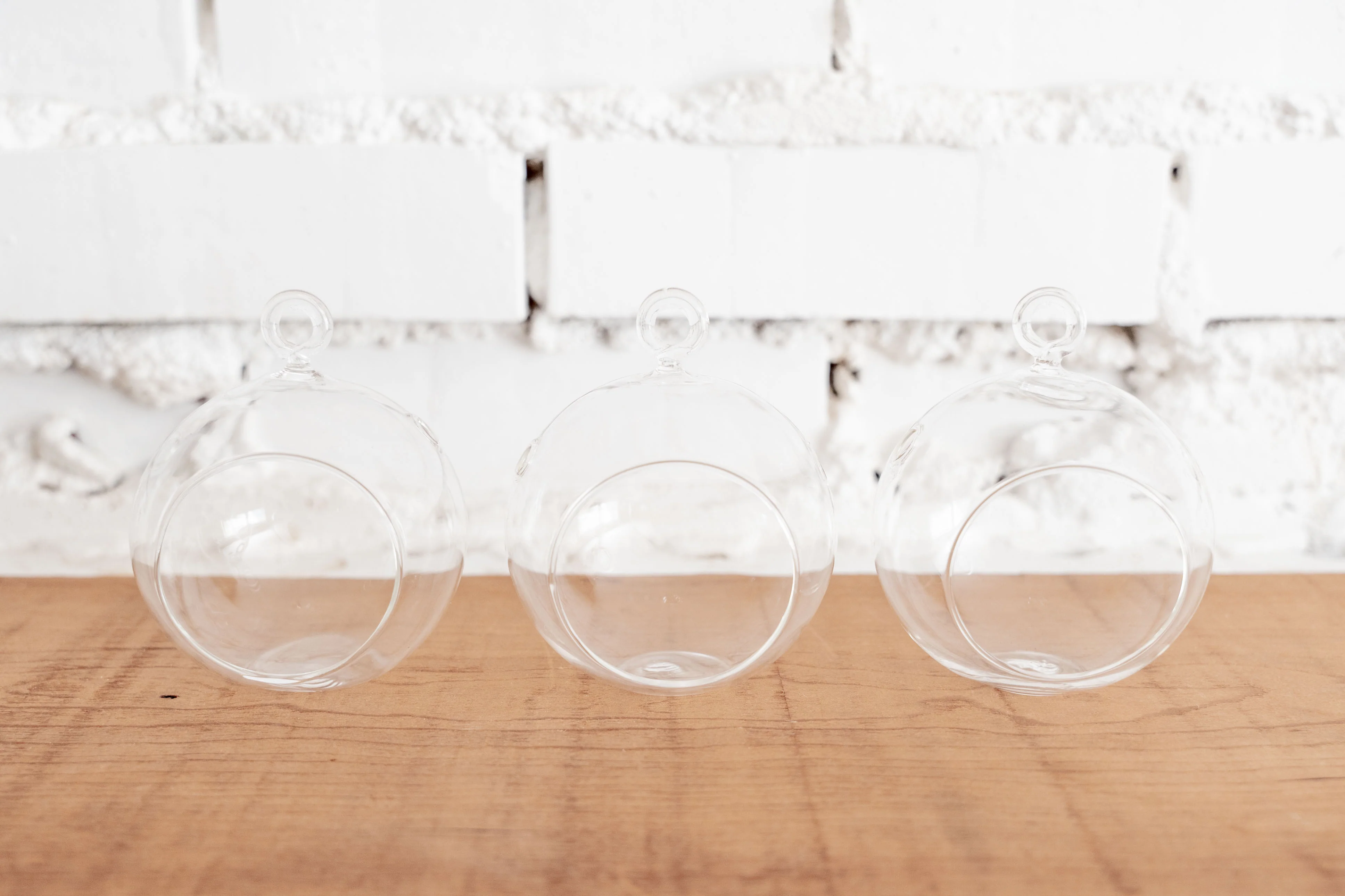 Mini Flat Bottom Glass Terrarium - Image 4