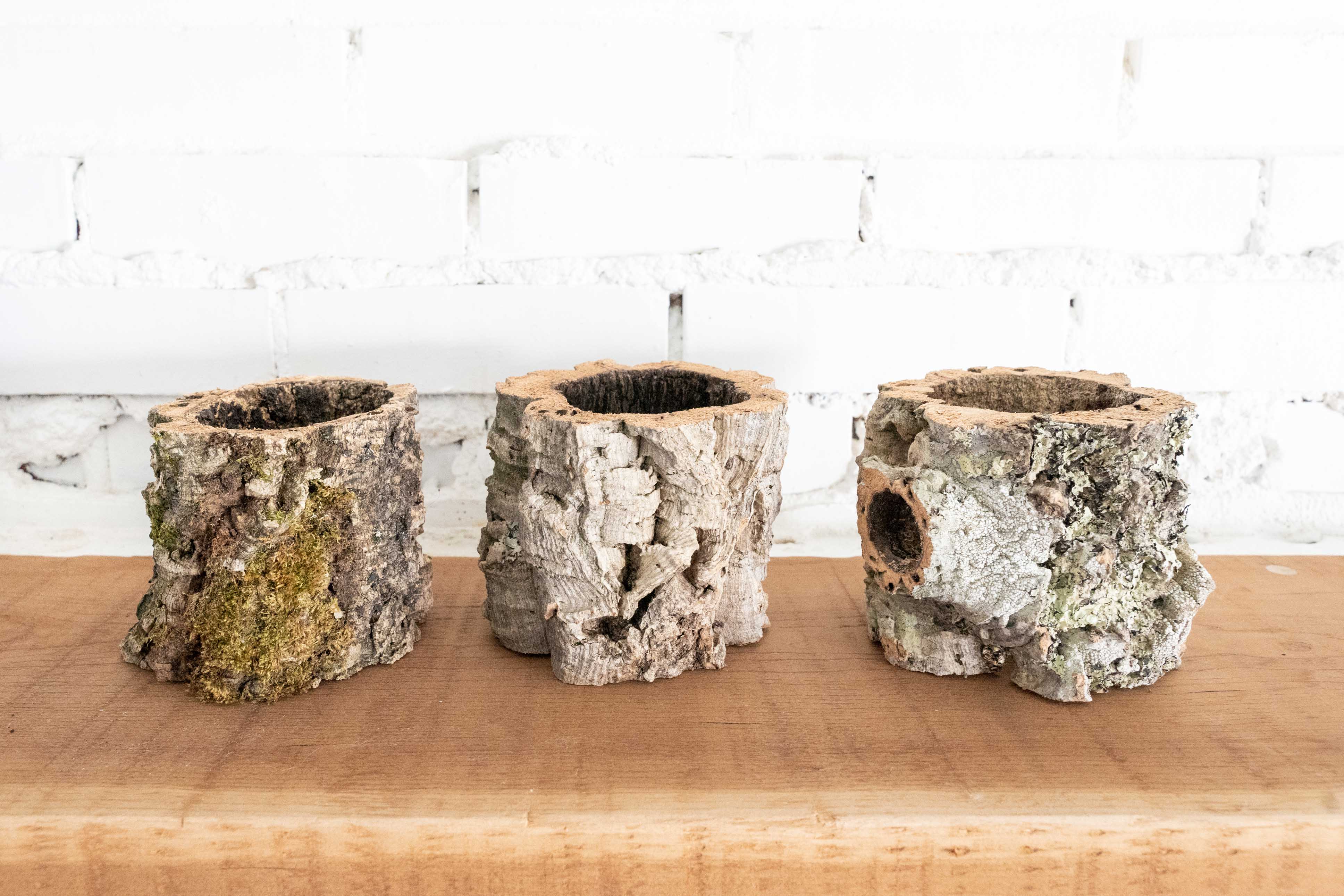 Natural Cork Bark Planters - Image 2