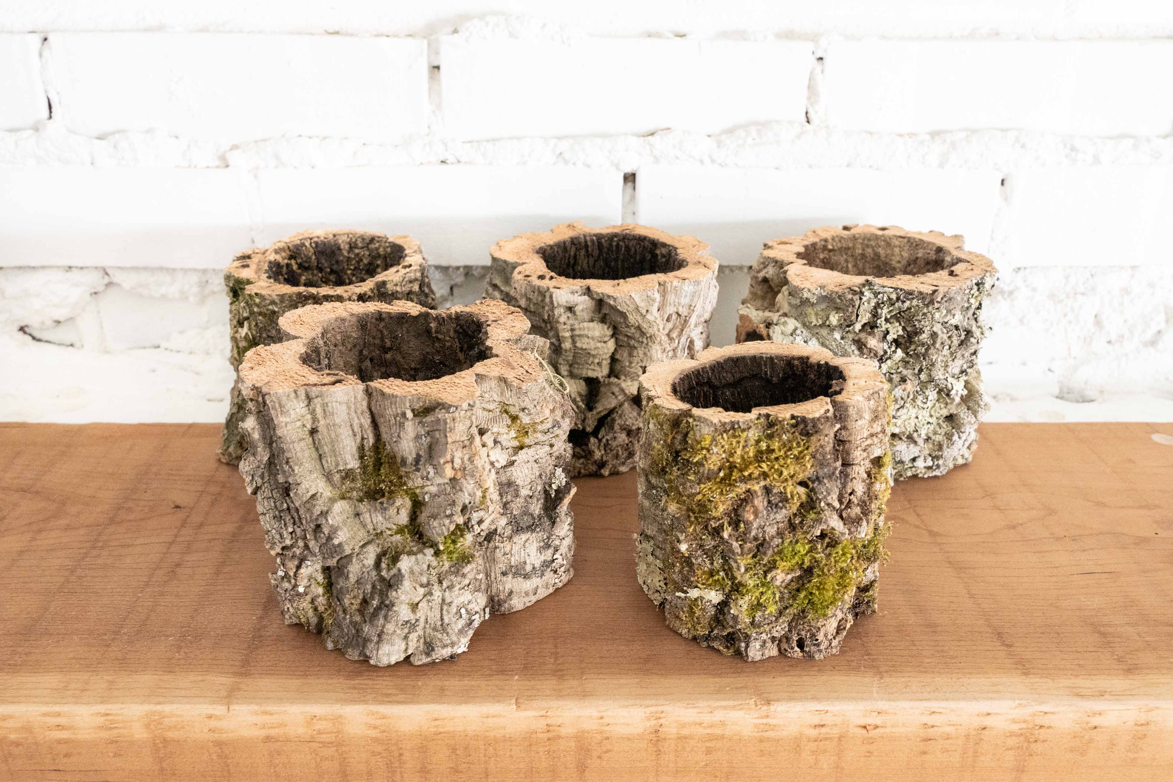 Natural Cork Bark Planters - Image 3