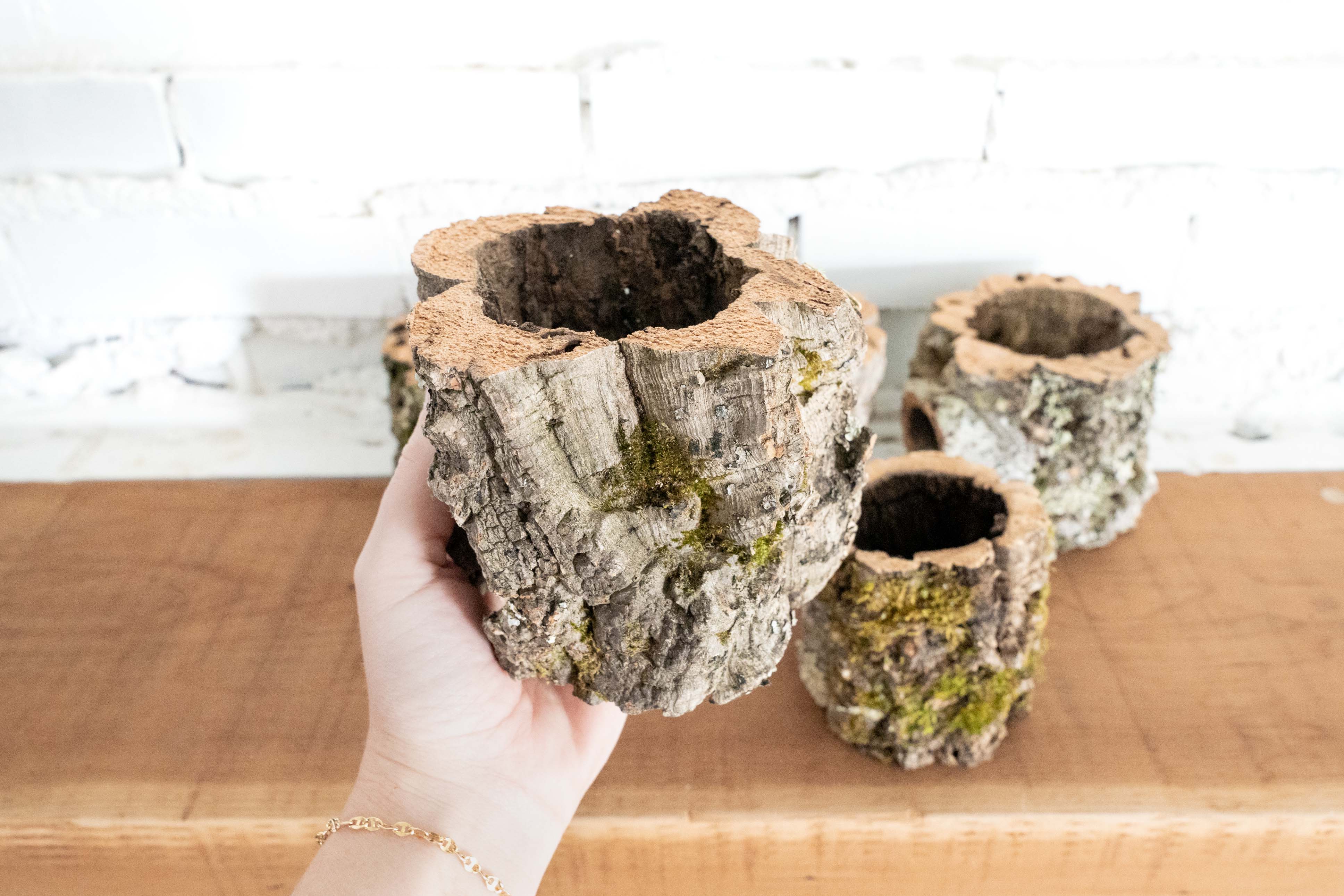 Natural Cork Bark Planters - Image 4