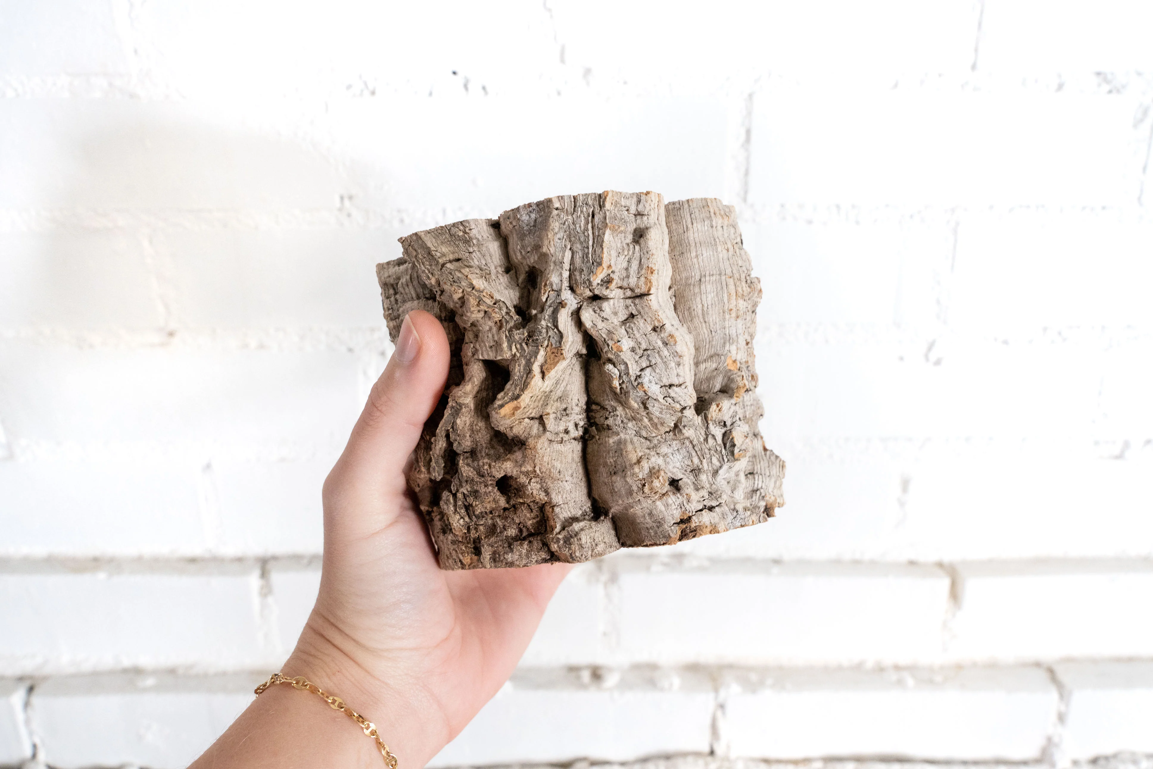 Wholesale: Natural Cork Bark Planters - Image 3