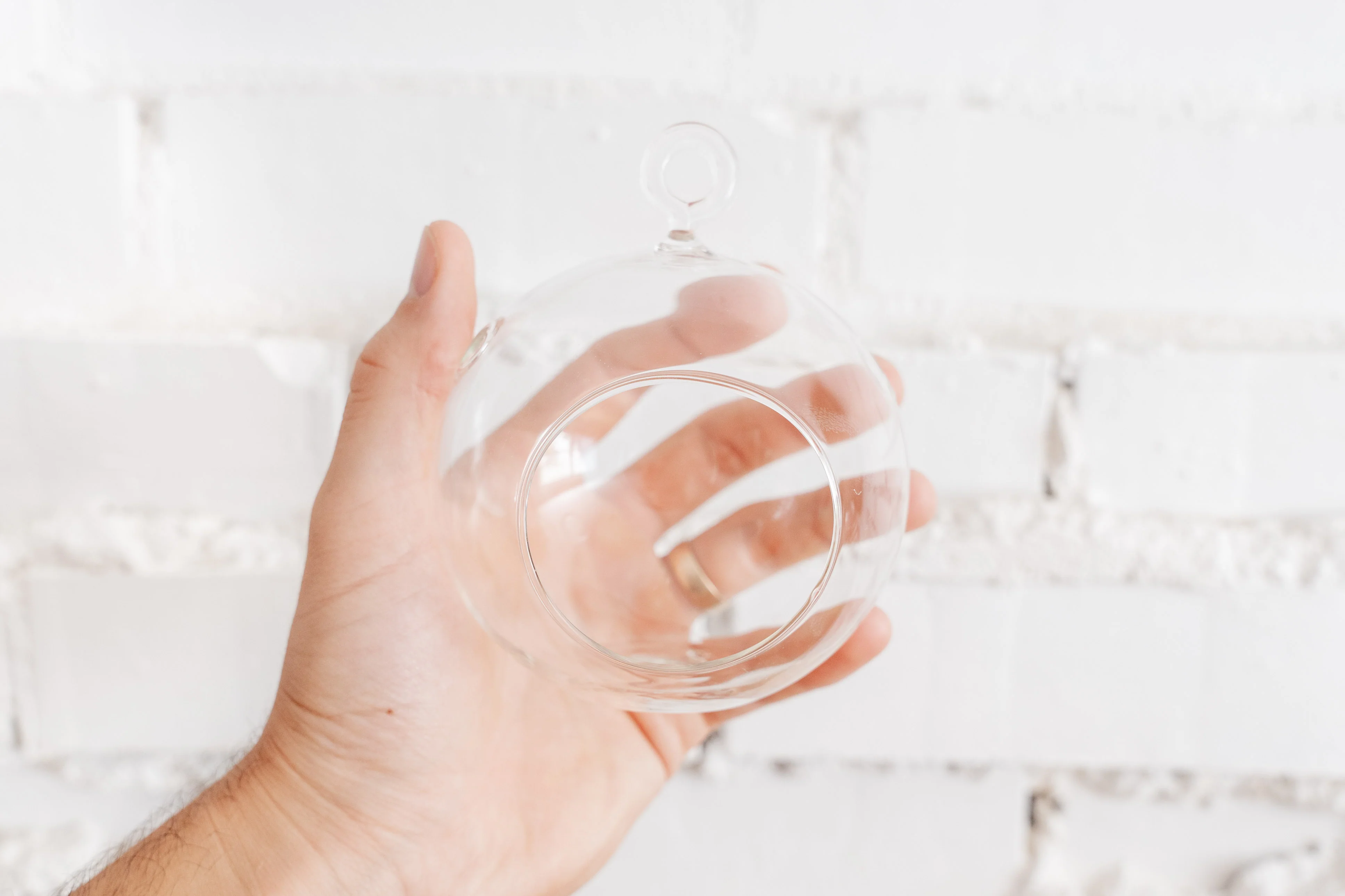 Wholesale: Flat Bottom Glass Terrariums