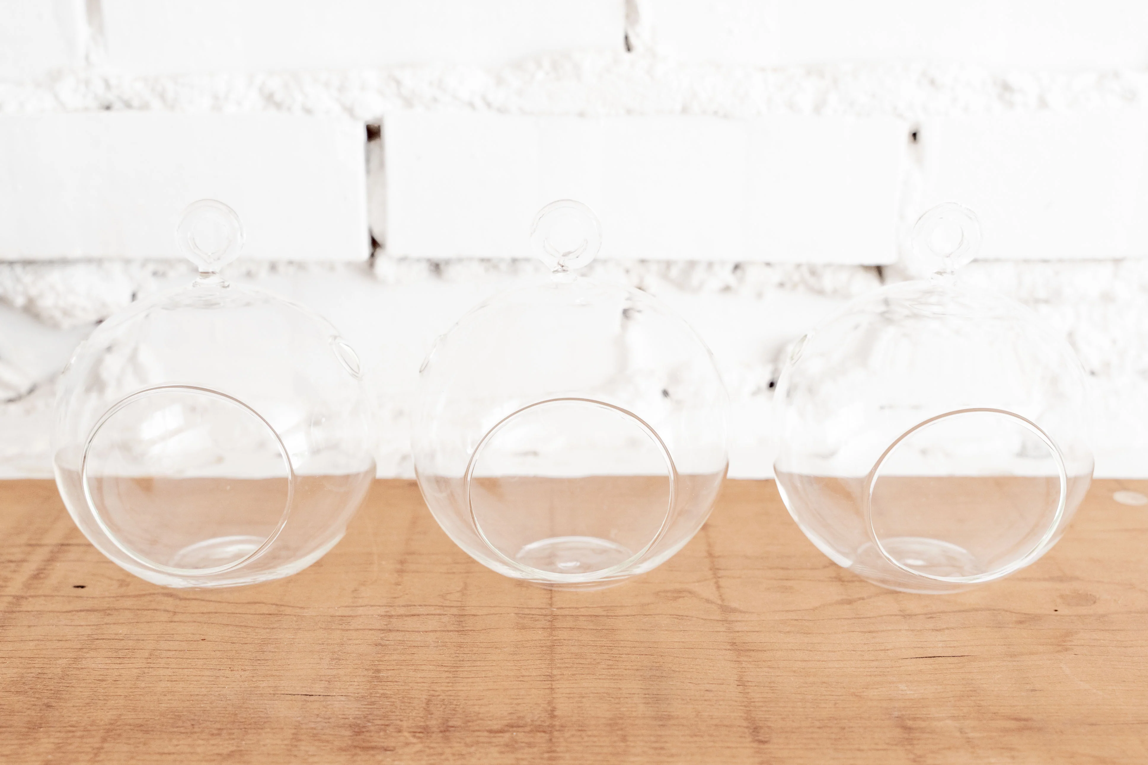 Wholesale: Flat Bottom Glass Terrariums - Image 3