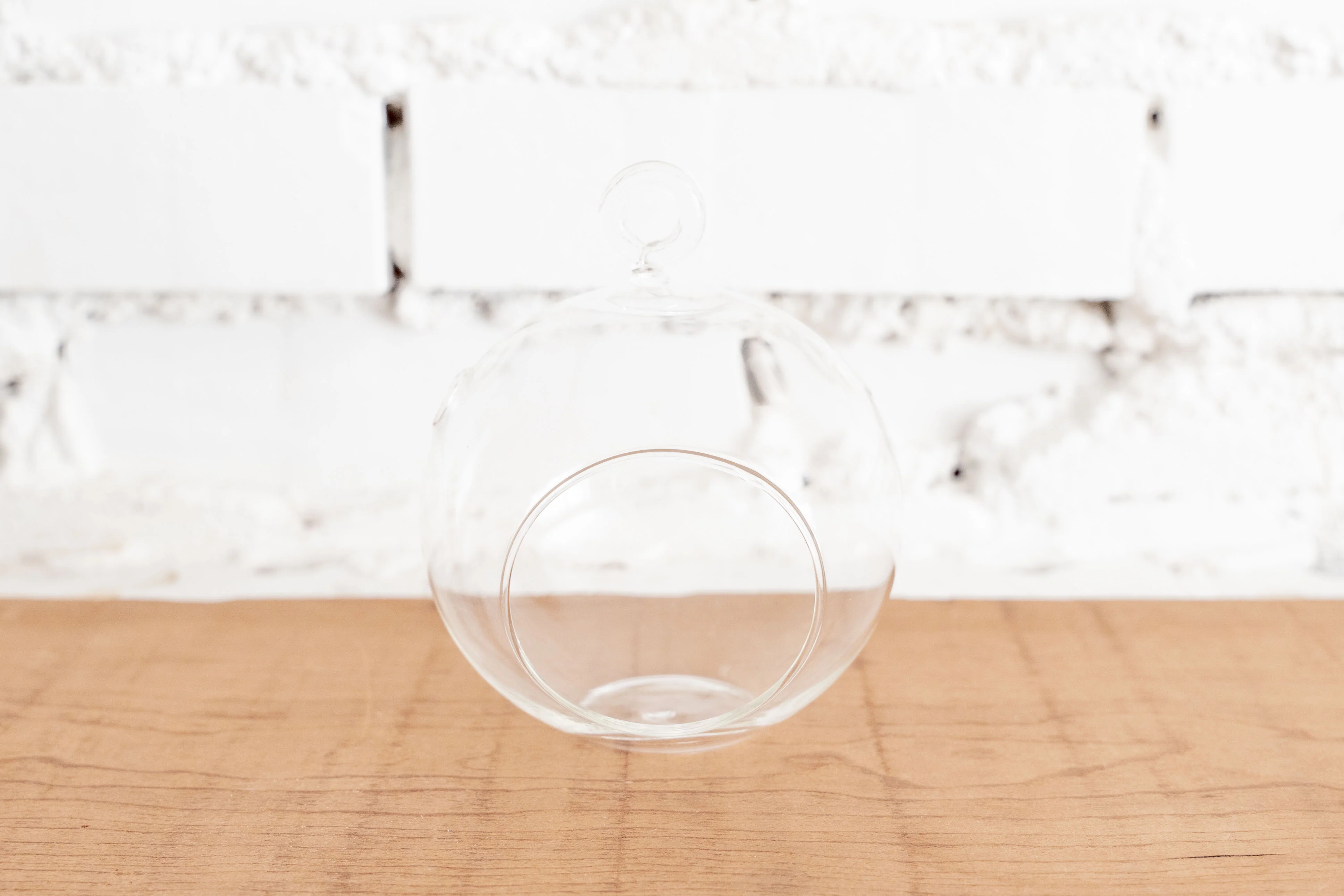 Wholesale: Flat Bottom Glass Terrariums - Image 4