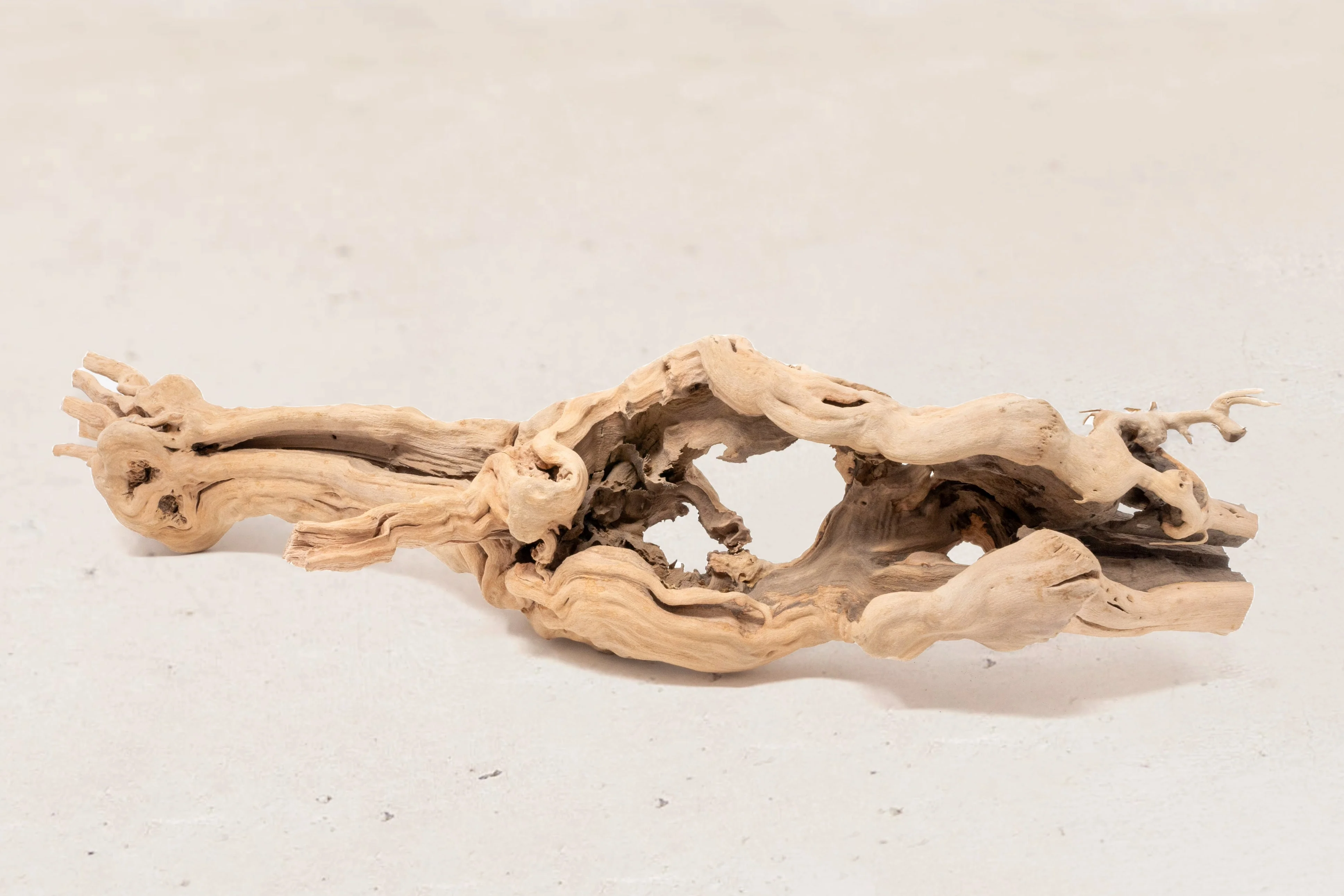 Wholesale: By the lb Grapevine Wood Displays for Tillandsia Air Plants - Image 7
