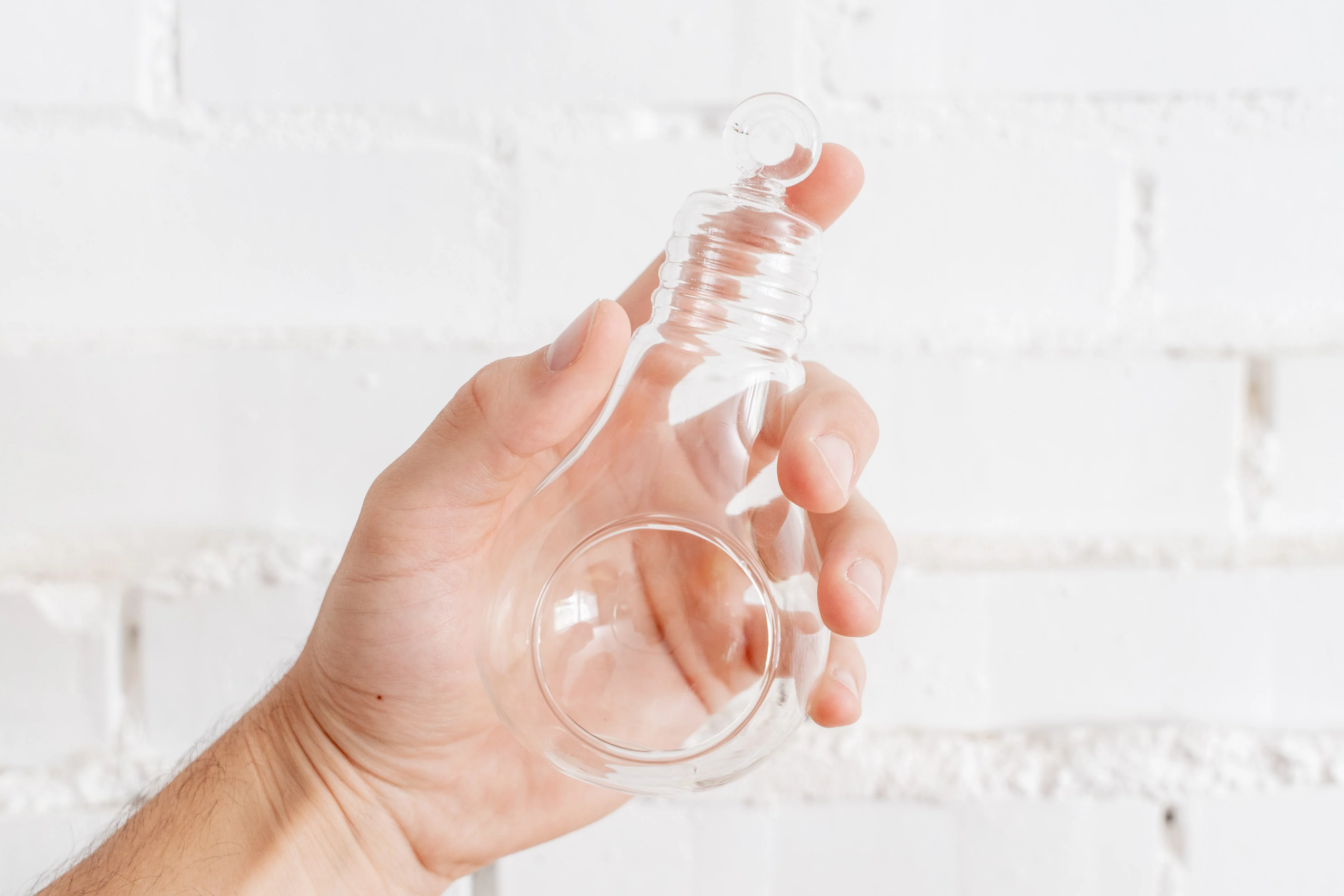 Wholesale: Light Bulb Glass Terrariums
