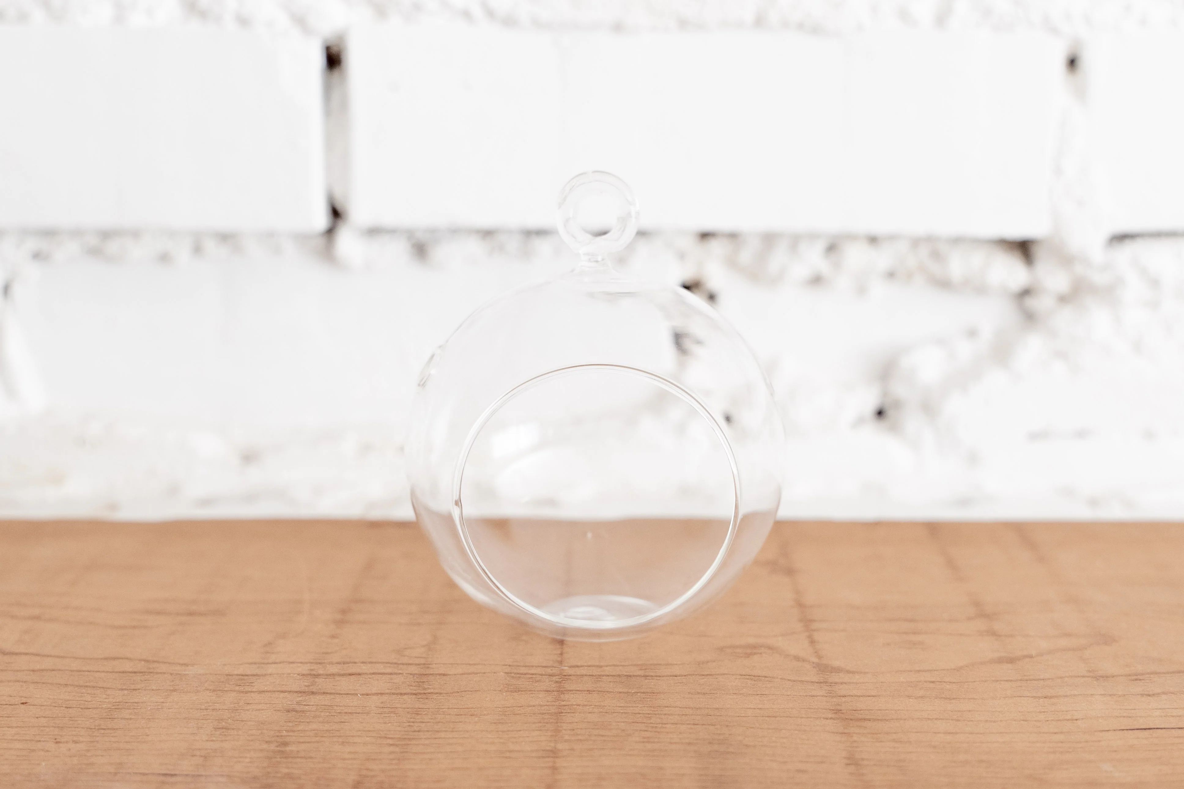 Wholesale by the Case: Mini Flat Bottom Glass Terrariums | Minimum order 48 - Image 4