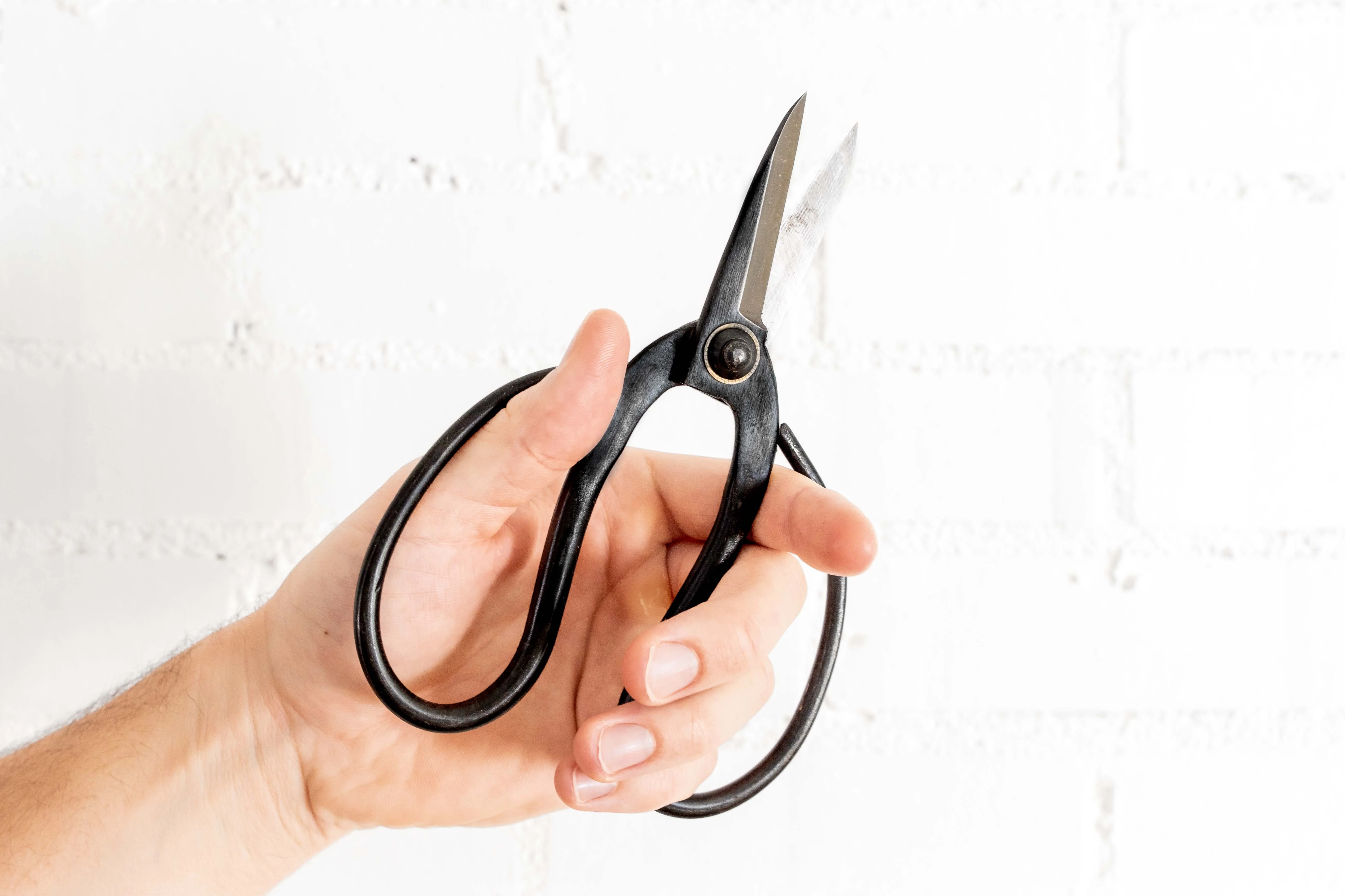 Wholesale: Bonsai-Style Pruning Scissors for Tillandsia Air Plants - Image 2