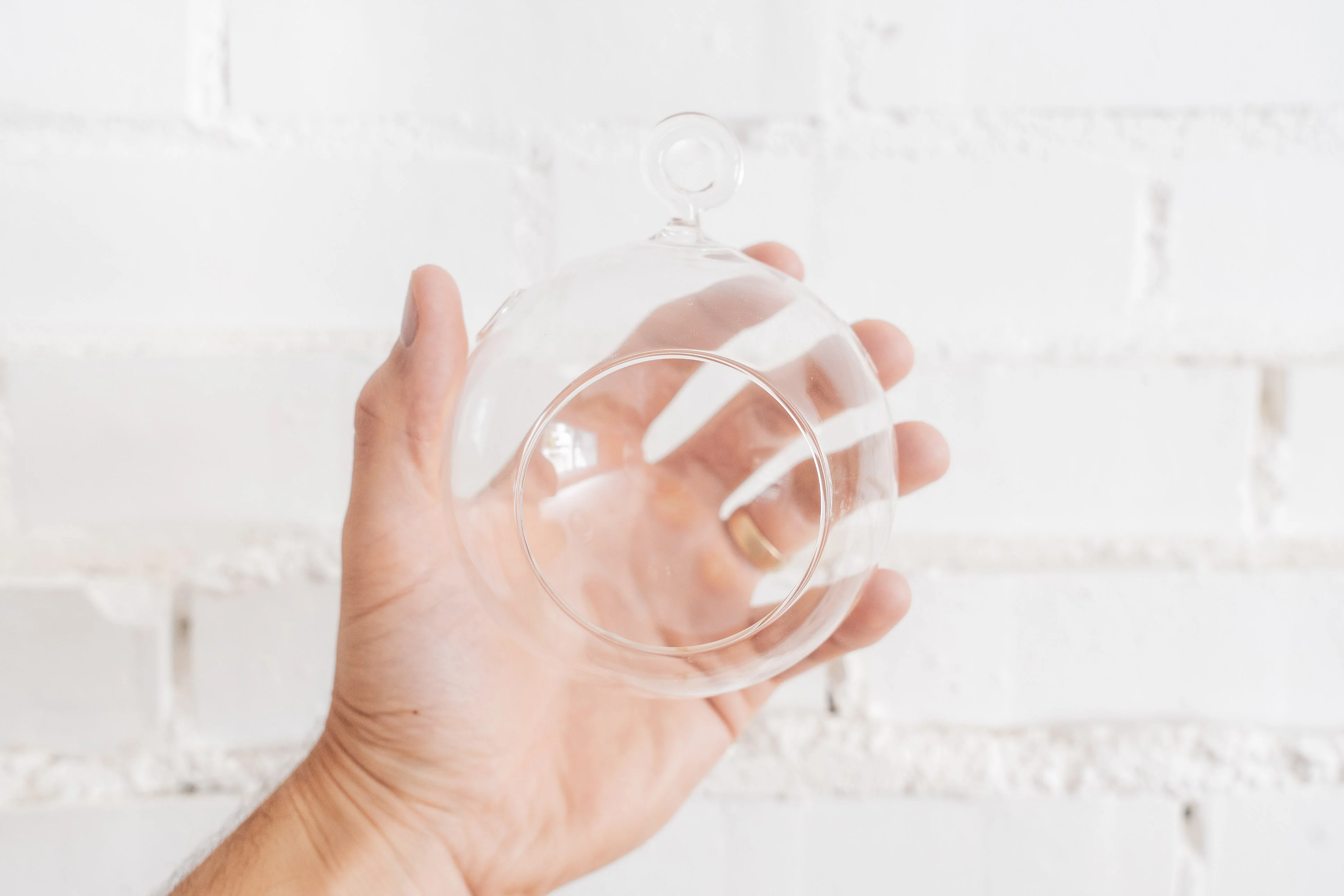 Wholesale by the Case: Round Bottom Glass Terrariums | Minimum order 48