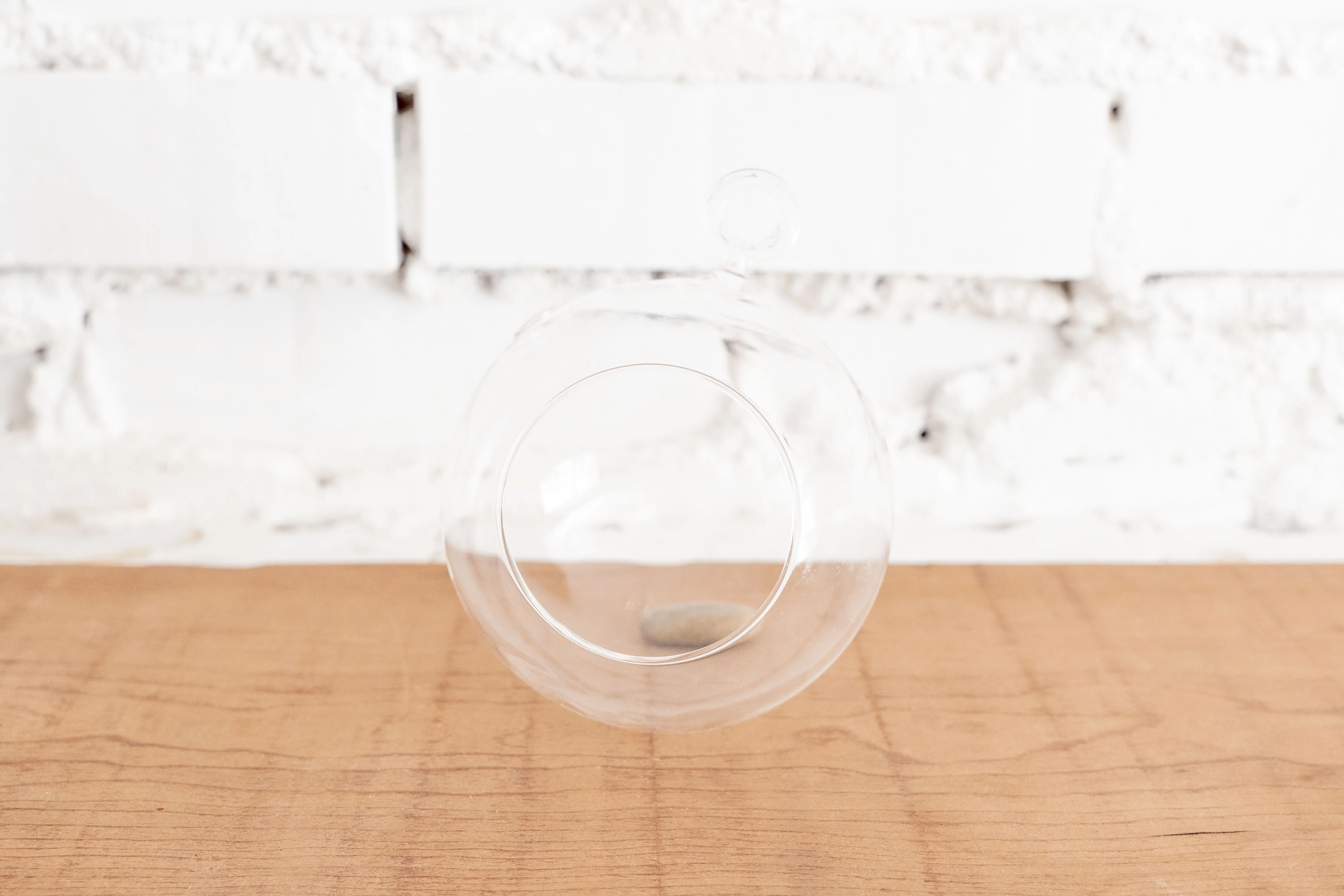 Wholesale by the Case: Round Bottom Glass Terrariums | Minimum order 48 - Image 3