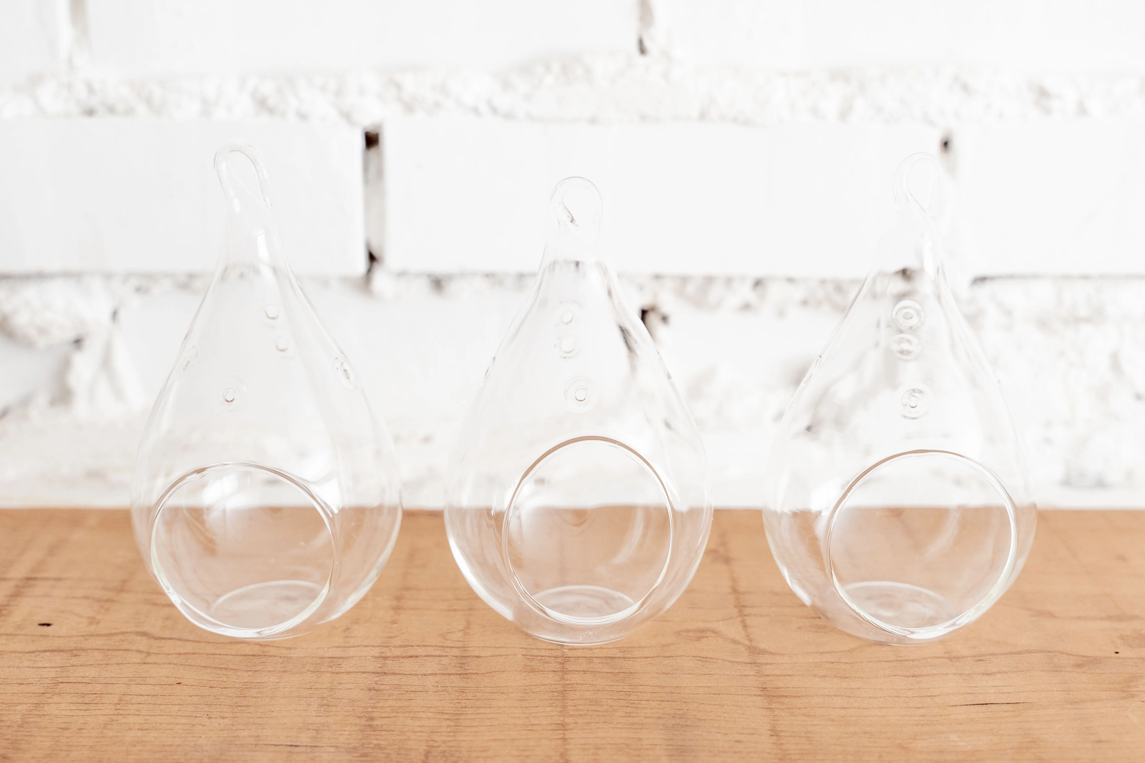 Wholesale: Teardrop Glass Terrariums - Image 3
