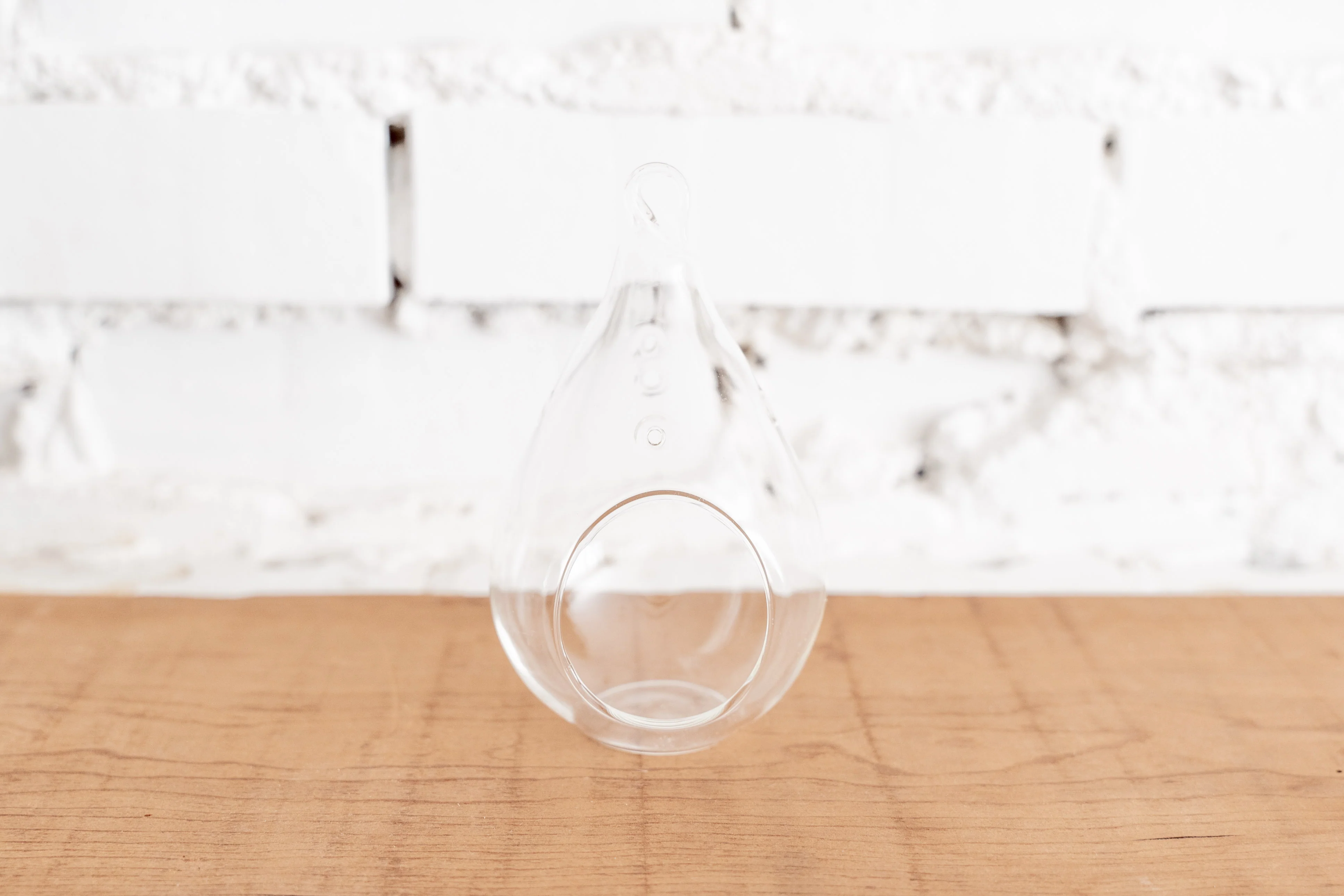 Wholesale: Teardrop Glass Terrariums - Image 4