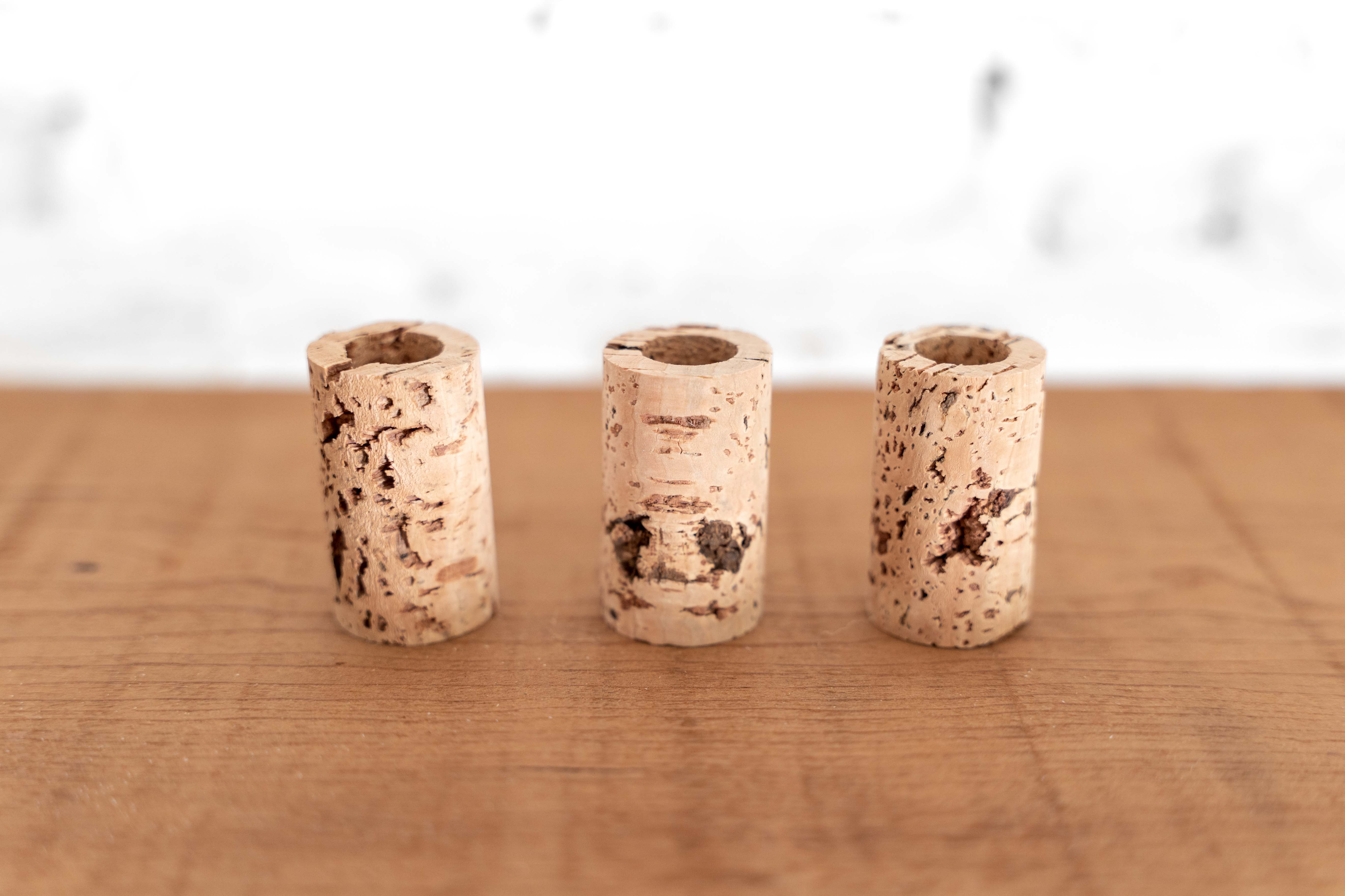 Wine Cork Planter with Tillandsia Air Plants - Image 4